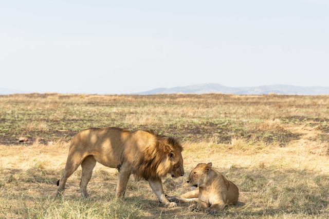 Map view of East Africa safari and island destinations